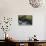 Black Bear in Stream-DLILLC-Stretched Canvas displayed on a wall