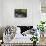 Black Bear in Stream-DLILLC-Framed Stretched Canvas displayed on a wall