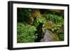 Black Bear in the Bushes-W. Perry Conway-Framed Photographic Print