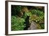 Black Bear in the Bushes-W. Perry Conway-Framed Photographic Print