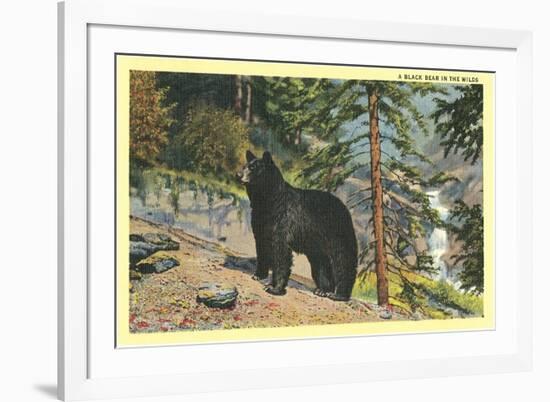 Black Bear in the Wild-null-Framed Premium Giclee Print