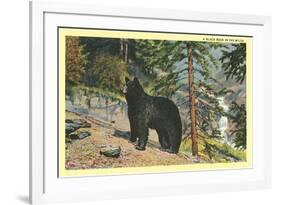 Black Bear in the Wild-null-Framed Premium Giclee Print