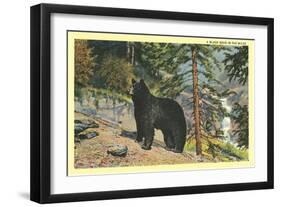 Black Bear in the Wild-null-Framed Art Print