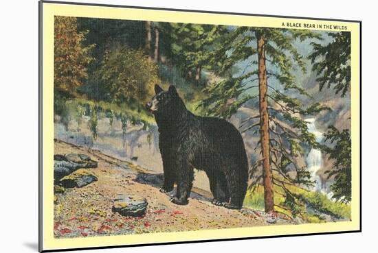 Black Bear in the Wild-null-Mounted Art Print