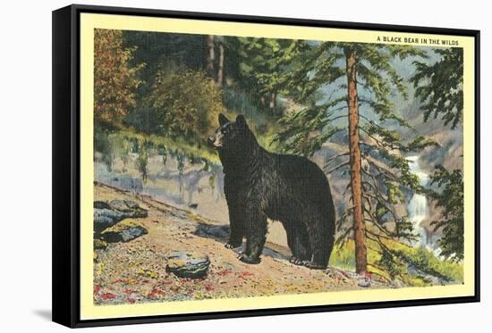 Black Bear in the Wild-null-Framed Stretched Canvas