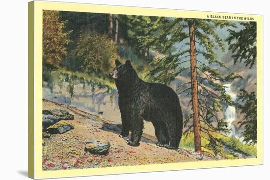 Black Bear in the Wild-null-Stretched Canvas