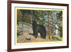 Black Bear in the Wild-null-Framed Art Print