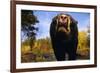 Black Bear Nosing Around-W. Perry Conway-Framed Photographic Print