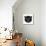Black Bear Polygon-Lisa Kroll-Mounted Art Print displayed on a wall