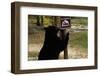 Black Bear Scratching Post-W^ Perry Conway-Framed Photographic Print