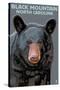 Black Bear Up Close - Black Mountain, North Carolina-Lantern Press-Stretched Canvas