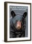 Black Bear Up Close - Black Mountain, North Carolina-Lantern Press-Framed Art Print