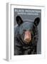 Black Bear Up Close - Black Mountain, North Carolina-Lantern Press-Framed Art Print