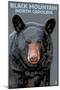 Black Bear Up Close - Black Mountain, North Carolina-Lantern Press-Mounted Art Print