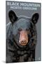 Black Bear Up Close - Black Mountain, North Carolina-Lantern Press-Mounted Art Print
