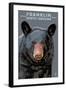 Black Bear Up Close - Franklin, North Carolina-Lantern Press-Framed Art Print