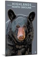 Black Bear Up Close - Highlands, North Carolina-Lantern Press-Mounted Art Print