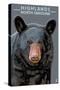 Black Bear Up Close - Highlands, North Carolina-Lantern Press-Stretched Canvas