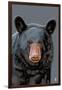 Black Bear Up Close-Lantern Press-Framed Art Print