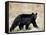 Black Bear (Ursus Americanus), Outside Glacier National Park, Montana-James Hager-Framed Stretched Canvas