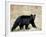 Black Bear (Ursus Americanus), Outside Glacier National Park, Montana-James Hager-Framed Photographic Print