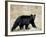 Black Bear (Ursus Americanus), Outside Glacier National Park, Montana-James Hager-Framed Photographic Print