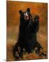 Black Bear with Berries-H^ Kendrick-Mounted Art Print
