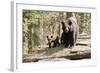 Black Bear with Cubs on a Wood Pile-MichaelRiggs-Framed Photographic Print