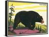 Black Bear-null-Framed Stretched Canvas