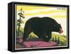 Black Bear-null-Framed Stretched Canvas