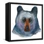 Black Bear-Jeannine Saylor-Framed Stretched Canvas