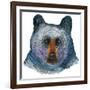 Black Bear-Jeannine Saylor-Framed Art Print