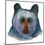 Black Bear-Jeannine Saylor-Mounted Art Print