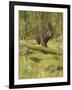 Black Bear-Oliver Kemp-Framed Art Print