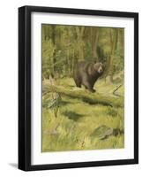 Black Bear-Oliver Kemp-Framed Art Print