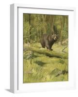 Black Bear-Oliver Kemp-Framed Art Print