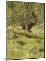 Black Bear-Oliver Kemp-Mounted Art Print