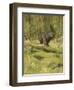 Black Bear-Oliver Kemp-Framed Art Print