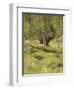 Black Bear-Oliver Kemp-Framed Art Print