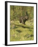 Black Bear-Oliver Kemp-Framed Art Print