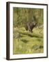 Black Bear-Oliver Kemp-Framed Art Print