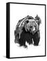 Black Bear-OnRei-Framed Stretched Canvas