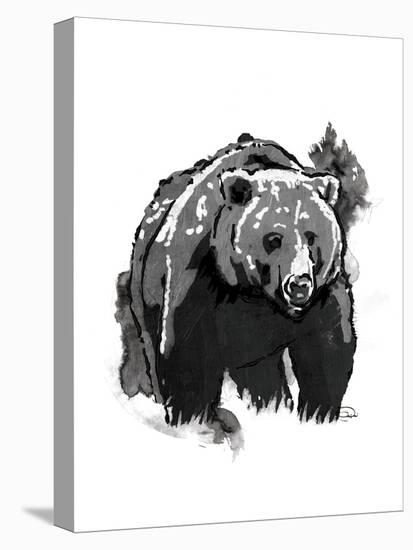 Black Bear-OnRei-Stretched Canvas