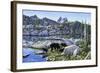 Black Bear-Jeff Tift-Framed Giclee Print