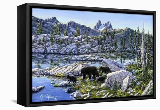 Black Bear-Jeff Tift-Framed Stretched Canvas
