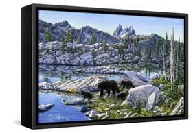 Black Bear-Jeff Tift-Framed Stretched Canvas