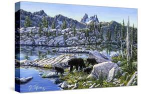 Black Bear-Jeff Tift-Stretched Canvas