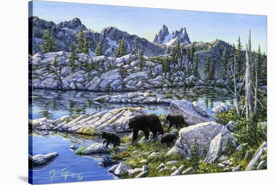 Black Bear-Jeff Tift-Stretched Canvas