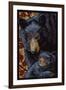 Black Bears - Paper Mosaic-Lantern Press-Framed Art Print