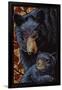 Black Bears - Paper Mosaic-Lantern Press-Framed Art Print